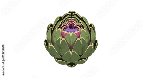 Illustration of a stylized artichoke with green outer leaves and a purple center, isolated on a white background.