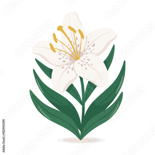 Stylized White Lily Flower with Green Leaves and Yellow Stamens