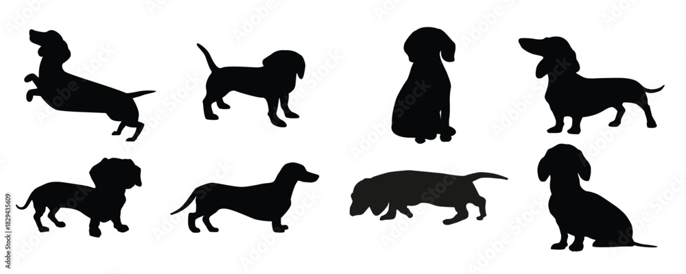 Obraz premium dachshund icon vector set dog illustration sign collection 