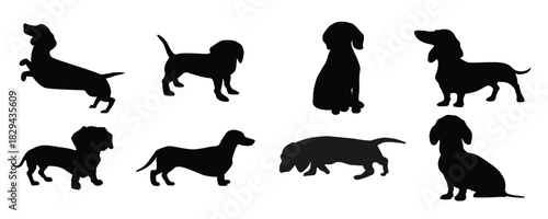 dachshund icon vector set dog illustration sign collection 
