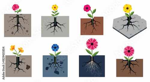 Flowers with roots in soil cross section diagram