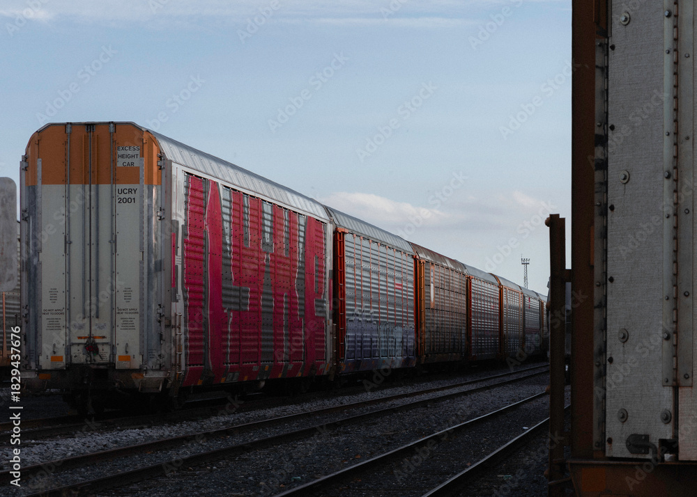 Obraz premium freight train with graffiti