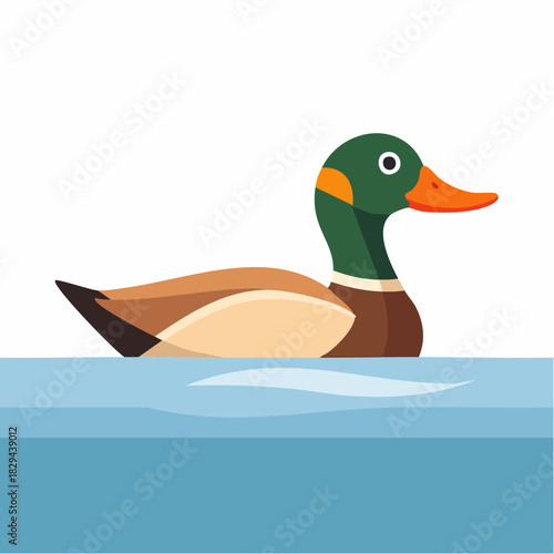 various kinds of cute animals