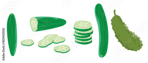 cucumber vectors