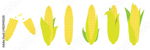 ear of corn vector set 