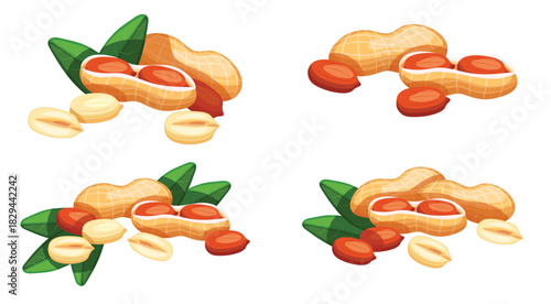 set of delicious and beautiful peanuts isolated on white