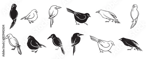 Flying Birds Vector Collection Flat Style Icons for your graphics element.