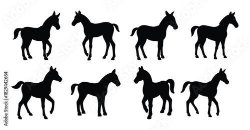  Foal Horse Silhouette Set - Baby Horse Vector Illustrations