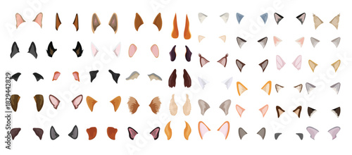 Set of Dog and Cat Ears vector illustration