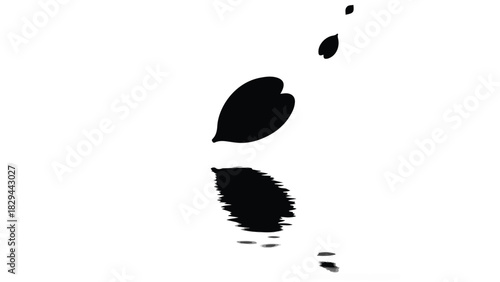 Delicate black ink brushstrokes of falling leaves with reflections on white background
