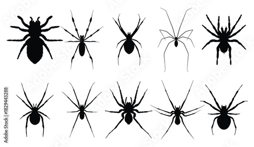 set of spiders silhouette