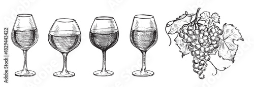 glass set and grape hand drawn graphic illustration