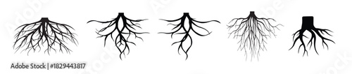 set of tree roots vector silhouette