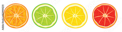 set of citrus slices top view in cartoon style illustration