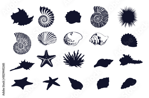 set of sea shells silhouettes