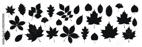 set of silhouettes of autumn leaves in a cartoon style flat