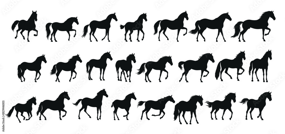 Fototapeta premium set of silhouettes of horse. horses standing. isolated on transparent background. 