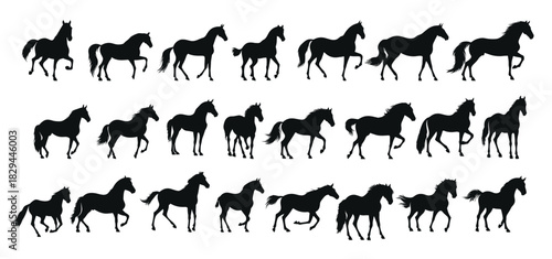 set of silhouettes of horse. horses standing. isolated on transparent background. 