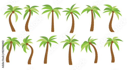 Set of sixteen different cartoon palm trees isolated on white background. Vector illustration