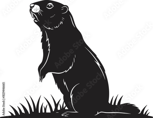 Wild marmot standing alert in grass, rodent wildlife silhouette illustration, nature animal design suitable for outdoor theme, forest habitat artwork vector