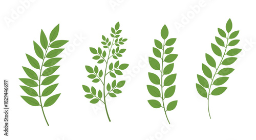 Set of four simple green leafy branches with various leaf arrangements, isolated on a clean white background.