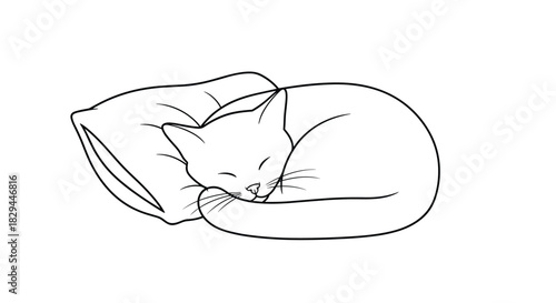 A peaceful cat is comfortably curled up and fast asleep on a soft pillow, depicted in a clean line art illustration.