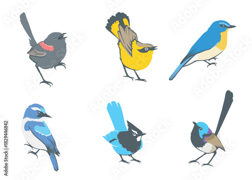 Set Paradis bird vector
