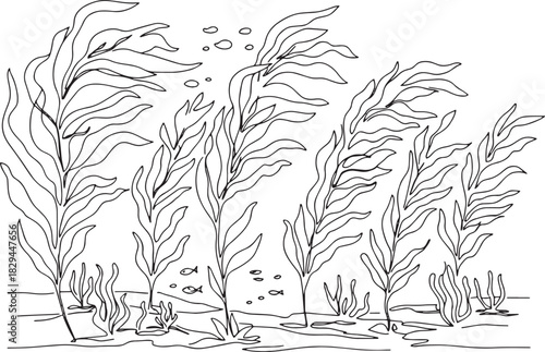 Underwater seascape with kelp forest black and white line art il