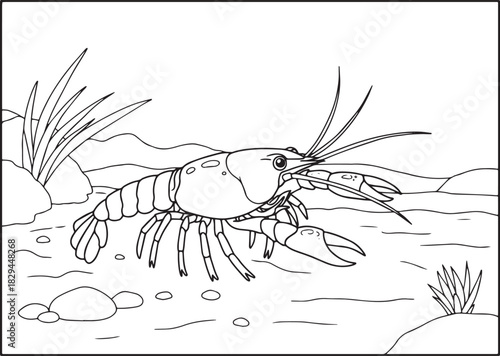 Line Drawing of a Freshwater Crayfish in a Riverbed Environment