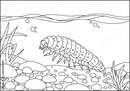 Black and White Illustration of a Water Bug Larva in its Natural