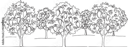 Elegant one-line mango orchard drawing showcasing tropical agric