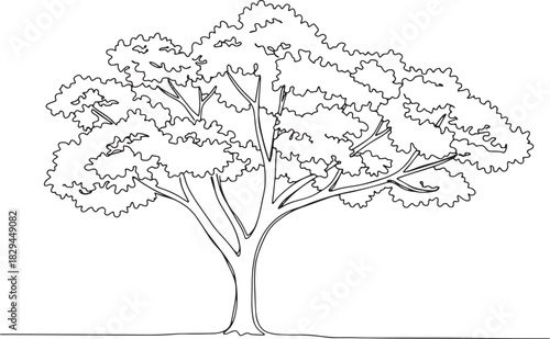 Stylized honey locust tree line drawing with flowing branches an