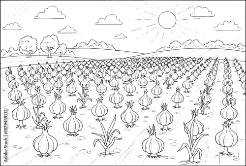 Black and white line art illustration of a garlic plantation on