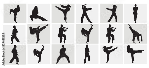 silhouette of a kickboxing woman female martial art 