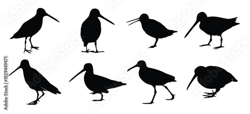 silhouette standing snipe vector .eps
