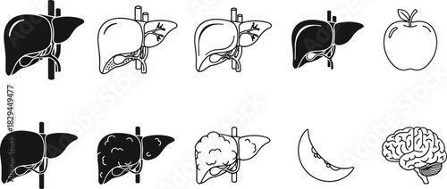 Human Liver Organ Health and Disease Icon Set, Silhouette and Outline Graphics of Healthy and Cirrhotic Liver, Apple, Brain, Anatomy, Medical Vector