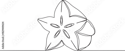 Elegant minimalistic one-line drawing of a juicy exotic starfrui