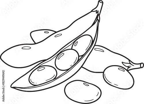 Edamame Pods and Beans Vector Outline Illustration for Culinary