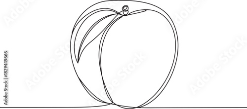 Nectarine fruit continuous line art, minimalist design, simple o