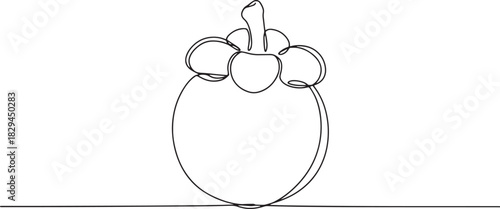 Minimalist continuous line drawing of mangosteen, tropical fruit