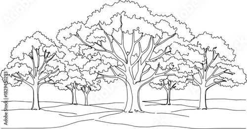Detailed line art illustration of an ancient oak forest scenery