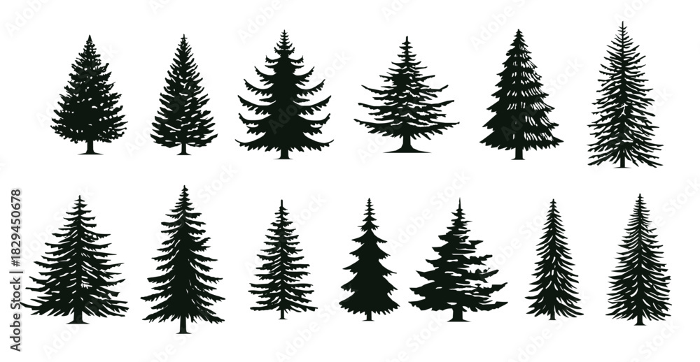 Obraz premium silhouettes of various evergreen trees showcasing different
