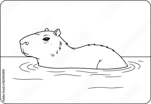 Illustration of a capybara swimming in the water, outline drawin