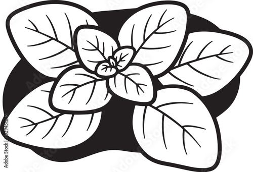Stylized Oregano Plant: A Monochrome Botanical Illustration of H