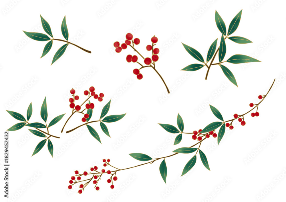 Fototapeta premium 南天のイラストセット