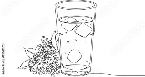 Line art illustration of refreshing elderflower cordial with ice