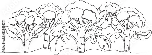 Minimalist line drawing illustration of a broccoli field, organi