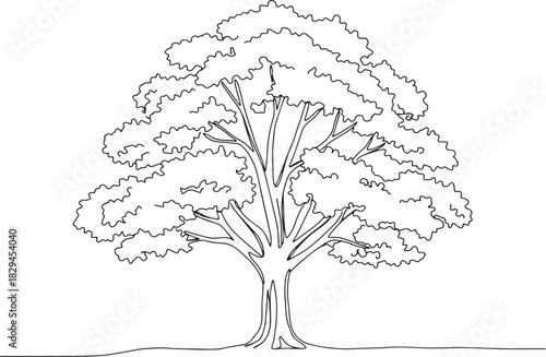 Elegant elm tree outline, nature themed illustration in minimali