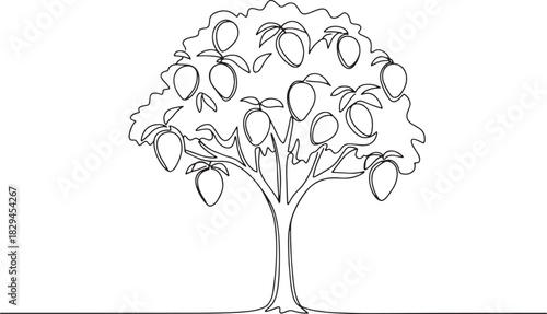 Ethereal Mango Tree: A Continuous Line Drawing of Nature's Bount