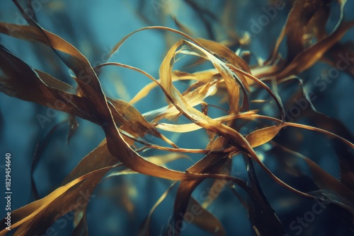 close up of a bunch of willow branches